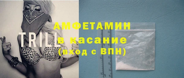ГАЛЛЮЦИНОГЕННЫЕ ГРИБЫ Абаза