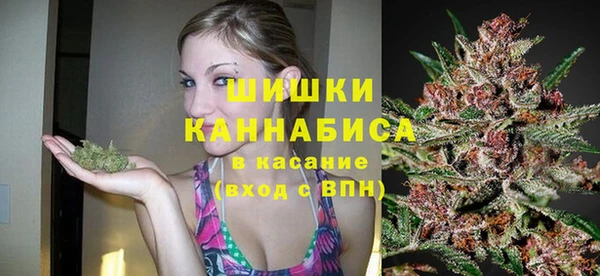ГАЛЛЮЦИНОГЕННЫЕ ГРИБЫ Абаза
