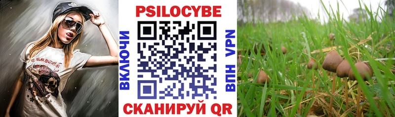маркетплейс официальный сайт  Алатырь  Псилоцибиновые грибы Psilocybe 